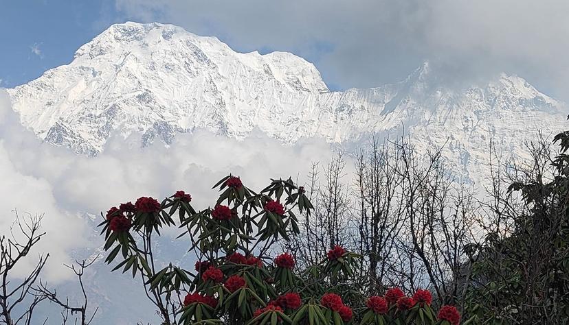 Annapurna Region